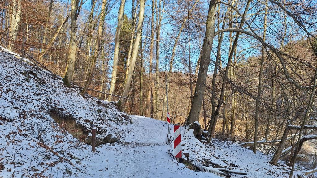 STA 3